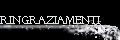 Ringraziamenti